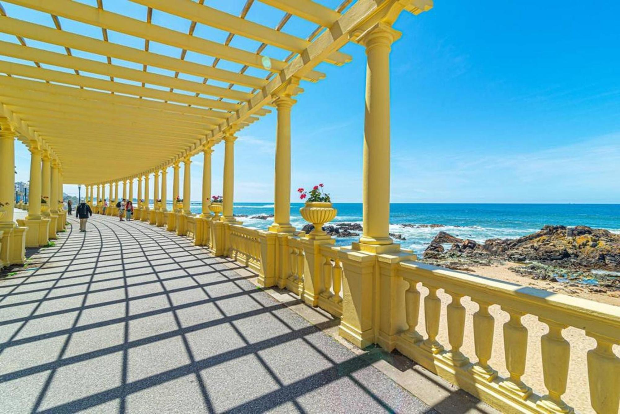 Bombarda Apartments VI By Innkeeper Porto Exterior photo